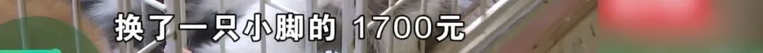 DƬ